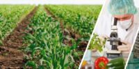 Sustentabilidad y la Responsabilidad Social en el Sector Agroindustrial