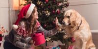 7 consejos sobre los cuidados navideños para tu perrito