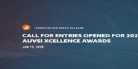 Abren convocatoria a los Premios AUSVI XCELLENCE 2020