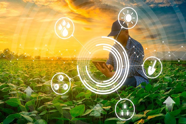 Startup apoya a agricultores para exportar