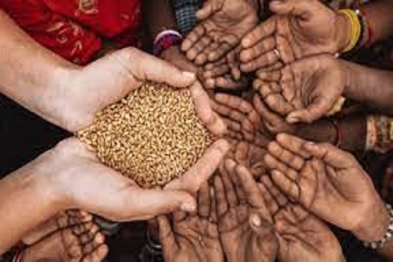 alimentación mundial