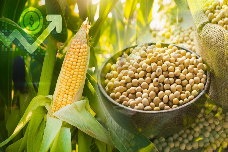 Se disparan los precios del maíz