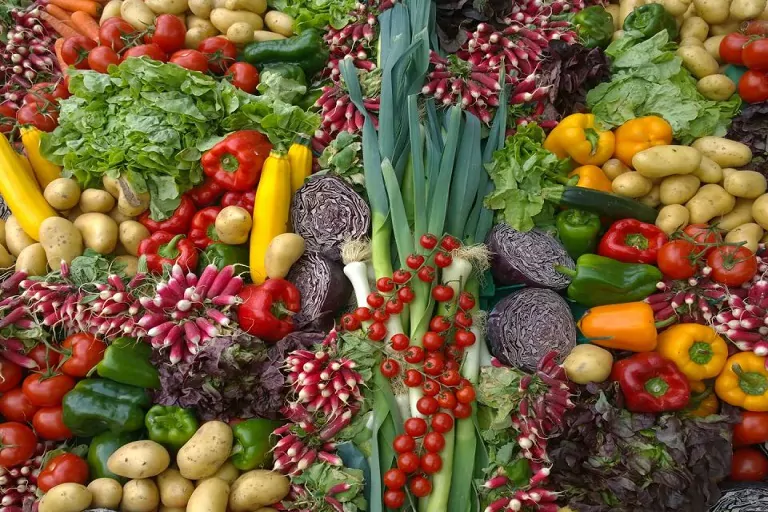 Comestibles con impacto ambiental positivo