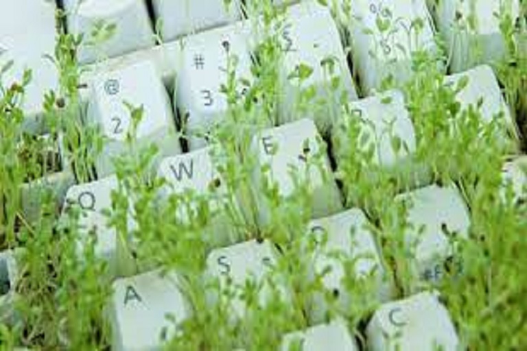 Negocio limpio tecnología verde y líderes entusiastas