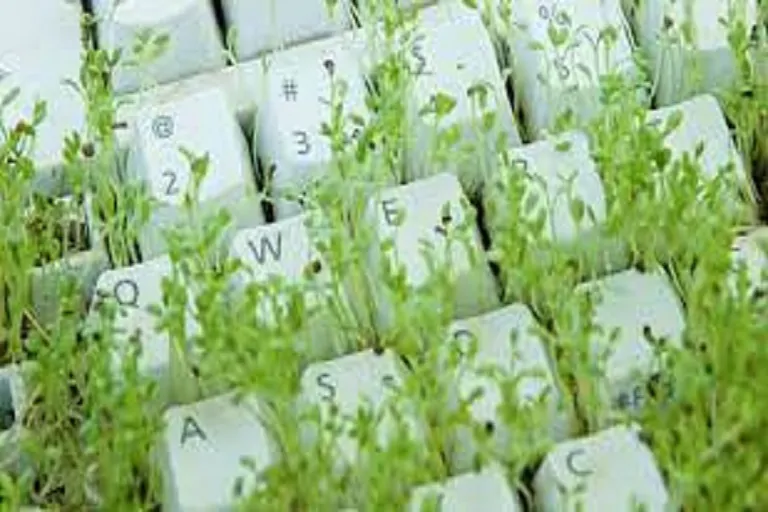 Negocio limpio tecnología verde y líderes entusiastas