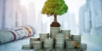 Las SOFOMES, alternativa de financiamiento accesible y ágil para  las PyMES