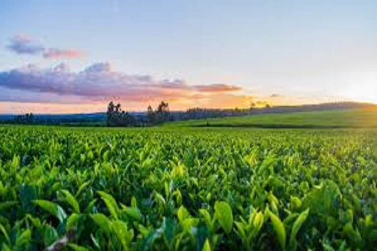 ProducePay da pasos para su expansión global