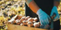 Capacitan a startups agromexicanas en un programa global