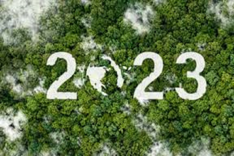 Mercado de reciclaje en México vale 3mmdp