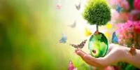 Celebrar el Día Mundial del Medio Ambiente implica compromiso