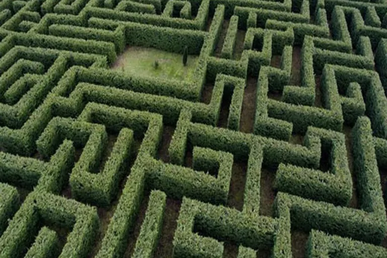 Ante una crisis económica ahí te van 5 consejos