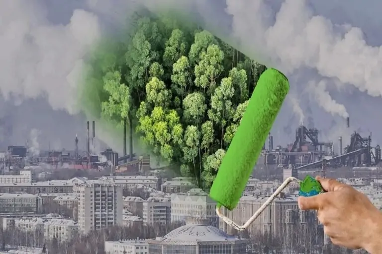 Evita el greenwashing en tu empresa con estos tips