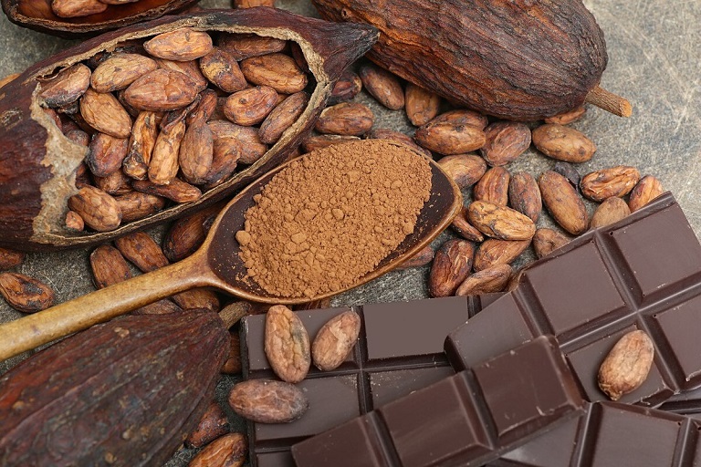 Celebran a cacaoticultores mexicanos