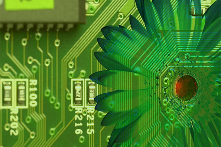 Las tecnologías de red que permitirán una sostenibilidad más sólida y generalizada en 2025