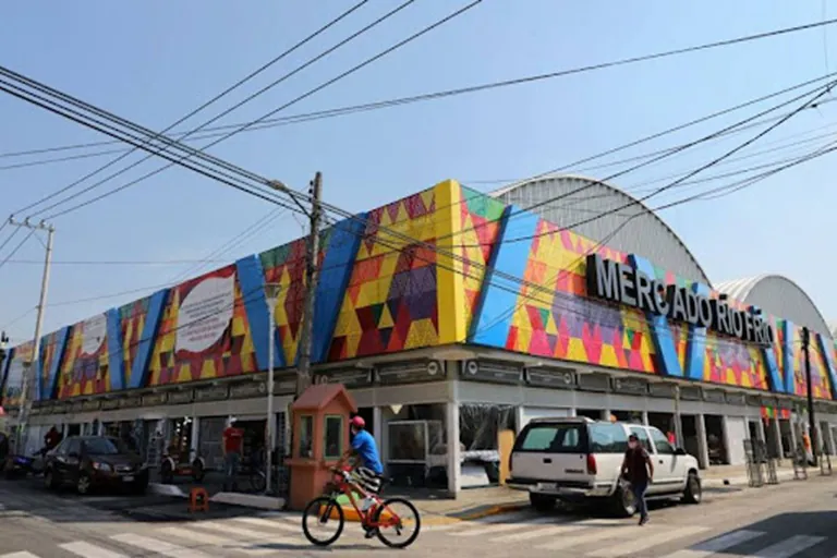 Mercados públicos de la CDMX: Motor económico y laboral en la era digital
