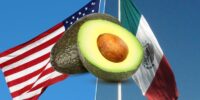 El precio del aguacate se dispara: ¿cómo afecta la crisis arancelaria a México?