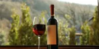 El vino mexicano crece: consumo, exportación y su impacto en la economía