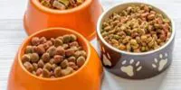 Nueva planta de alimento para mascotas impulsa el crecimiento económico con en Morelos