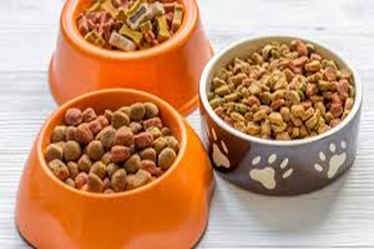 Nueva planta de alimento para mascotas impulsa el crecimiento económico con en Morelos