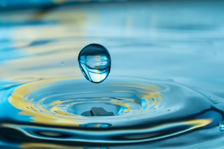 Innovación y compromiso: Un desafío para proteger el agua