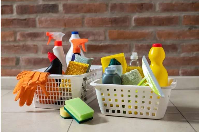 Cuidado del hogar y e-commerce: una oportunidad creciente para microempresas mexicanas