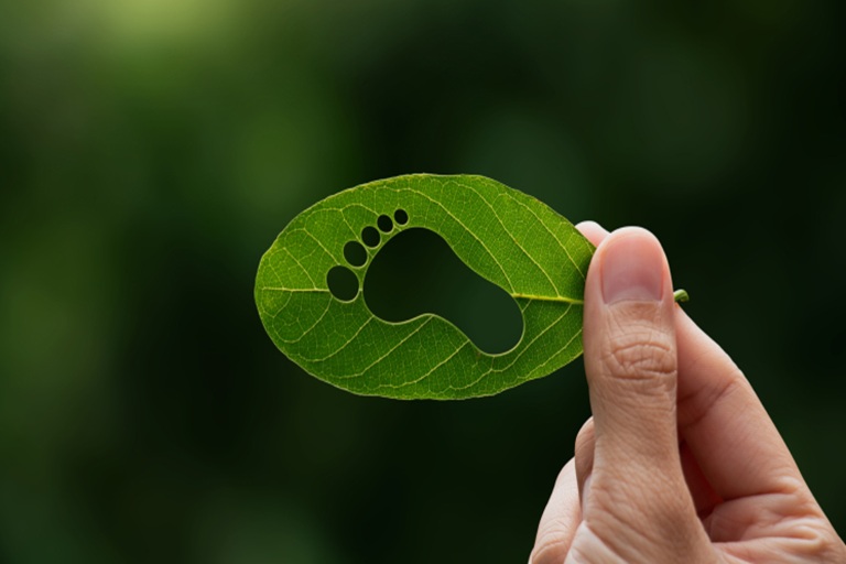 Calcular la huella de carbono: una oportunidad estratégica para las PyMEs mexicanas