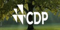 Natura reafirma su liderazgo ambiental con calificación “A” del CDP: ejemplo global de compromiso climático empresarial